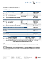 Tarifblatt Verteilnetzbetreiber - Großabnehmer 2025 (PDF)