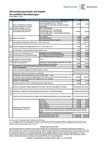 Tarifblatt Netzpauschalen 2026 (PDF)